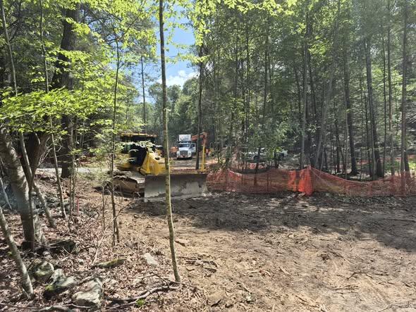 Early tree clearing at The Estate at Schollhammer's Farms