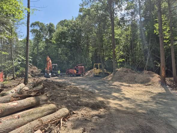 Tree clearing and site work at The Estate at Schollhammer's Farms